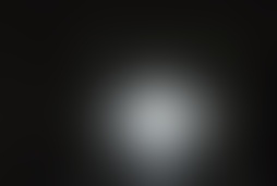 Фотографія квесту Помещения Ганнибала Лектера від компанії MGame (Фото 1)